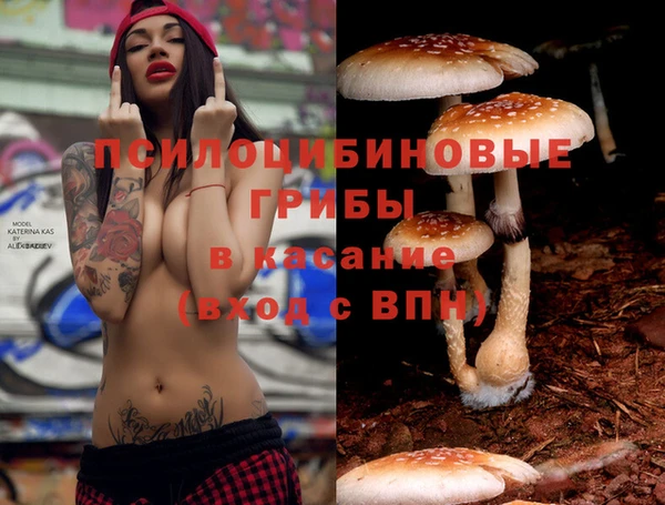 spice Болхов
