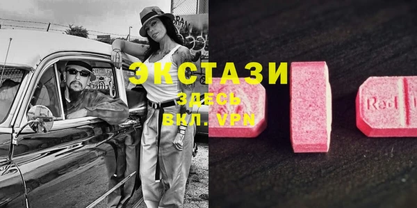индика Бутурлиновка