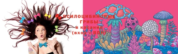 spice Болхов