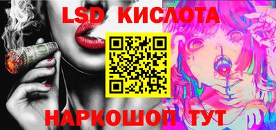 мдпв Гусев