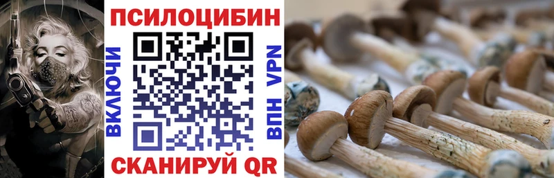Псилоцибиновые грибы Cubensis Дятьково