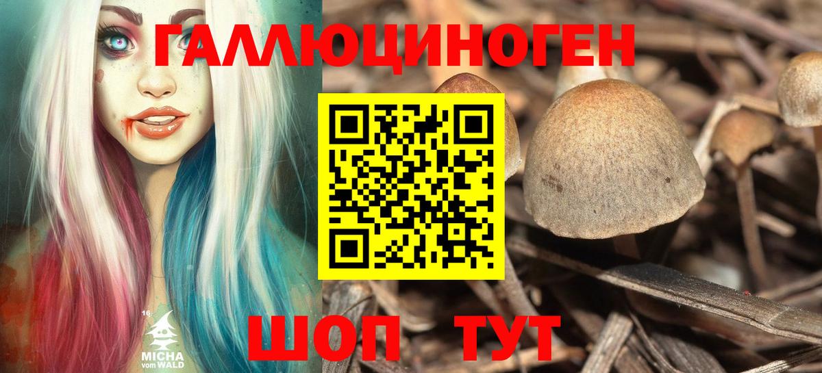 Дятьково  Псилоцибиновые грибы мицелий  Вход с VPN 