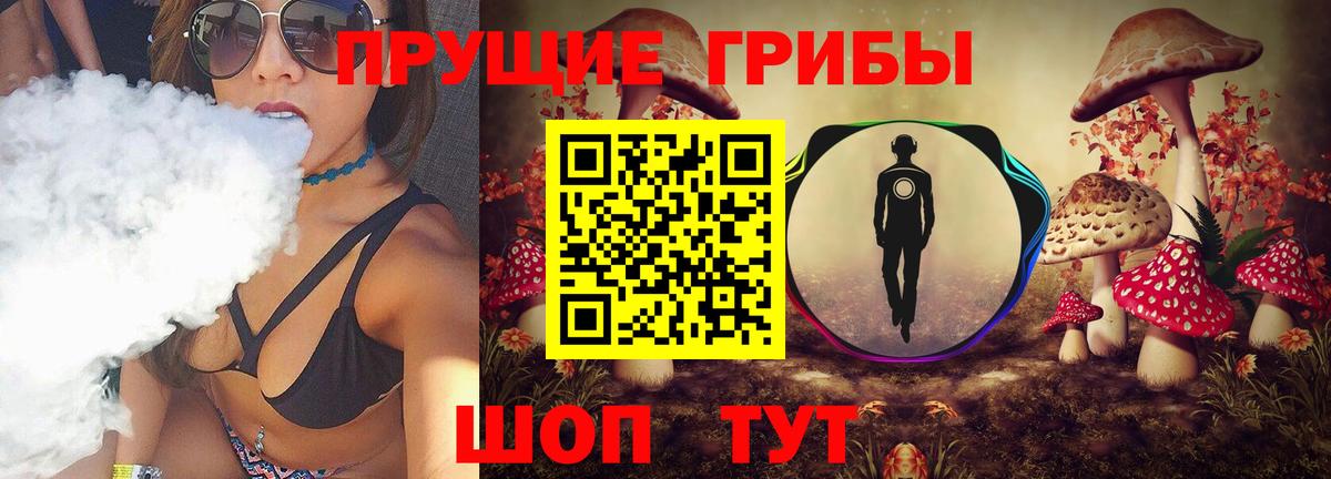 Псилоцибиновые грибы Psilocybe Дятьково
